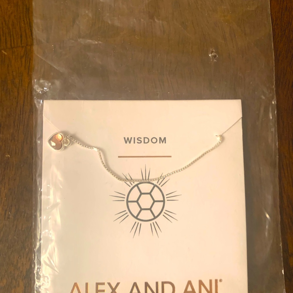 Alex & Ani Amethyst Necklace